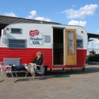 The Beeline Trailer